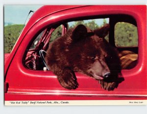 Postcard  Hot Rod Teddy Banff National Park, Canada