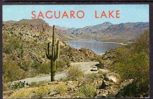 Saguari Lake,CanyonLake,AZ BIN