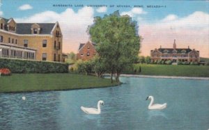 Nevada Reno White Swans On Manzanite Lake Universsity Of Nevada 1951