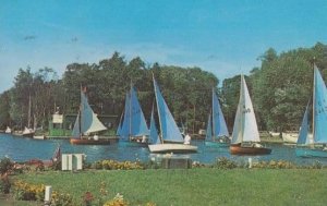 Horning Regatta Norfolk Broads 1960s Postcard