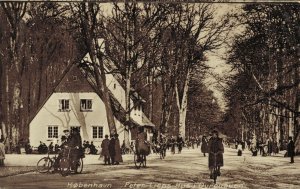 Denmark København Peter Lieps Hus i Dyrehaven Copenhagen Vintage Postcard 07.45