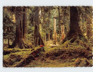 Postcard Rain Forest, Olympic Peninsula, Washington