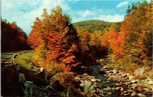Travelers Paradise Stream Creek Fall Autumn Scene Foliage View Rd Dr Postcard 