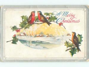 Divided-Back CHRISTMAS BIRDS SCENE Pretty Postcard W8492