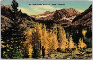 1956 Montezuma Mountain Aspen Colorado Mountain Rock Formations Posted Postcard