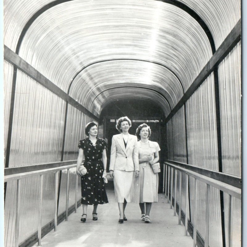 c1950s Lovely Fancy Women Bridge Tunnel RPPC Happy Smile Ladies Real Photo A160