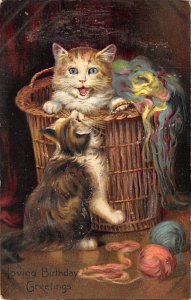 Cat Cats, Kitten 1910 