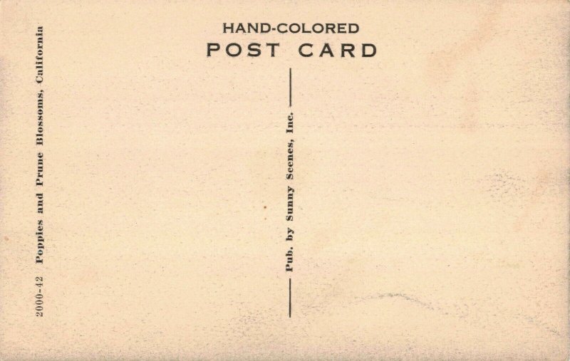 Poppies and Prune Blossoms, California Hand-Colored Postcard Pub. by Sunny Scene