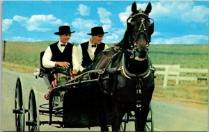 Pennsylvania Amish Country Amish Boys In Sunday Dress Riding In Courting Buggy