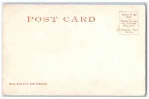 c1905 Old Log Cabin, Near Germantown Philadelphia Pennsylvania PA Postcard