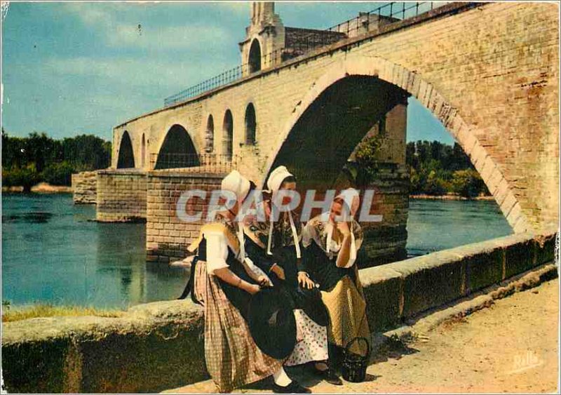 'Postcard Modern Avignon Vaucluse Young Comtadines and the Pont d''Avignon Fo...