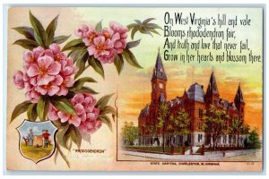 c1910 West Virginia's Hill Vale State Capitol Charleston West Virginia Postcard