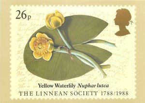 British stamp on postcard Edward Hughes 1988 Linnean society Yellow waterlily