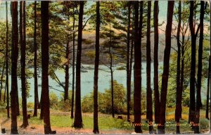 View of Woodland Park, Worcester MA c1911 Vintage Postcard L50