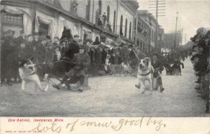 G27/ Ishpeming Michigan Postcard 1907 Dog Sled Racing Crowd