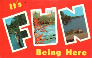 Postcard 1979 Its Fun Being Here Fishing On The Lake Recreation & Vacationland