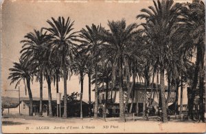 Algeria Algiers, Alger Jardin d'Essai L'Oasis Vintage Postcard C157