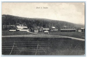 1911 Parti Fr. Selsjon Municipality of Sweden Posted Antique Postcard