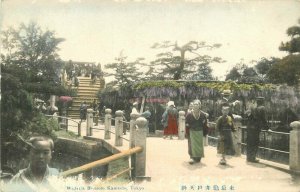 Japan C-1910 hand colored Wisteria Blossom Kameido Tokyo Postcard 22-2541