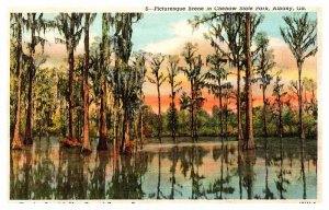 Postcard WATER SCENE Albany Georgia GA AR7261