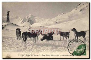 Postcard Old Dog Dogs Grand St Bernard dogs discovering a traveler astray