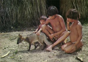 brazil, Xingu Native Indians, Iaualapiti Children with Fox (1980s) Postcard
