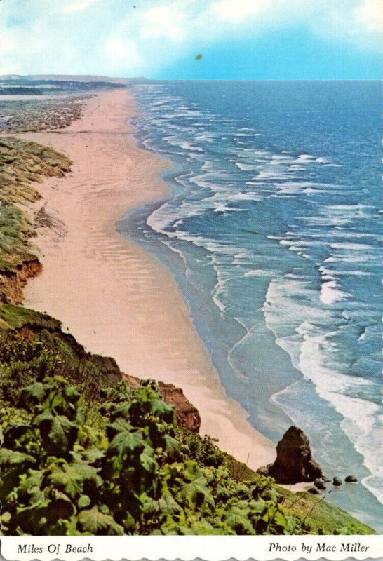 Oregon Coast Miles and Miles Of Surf and Sand