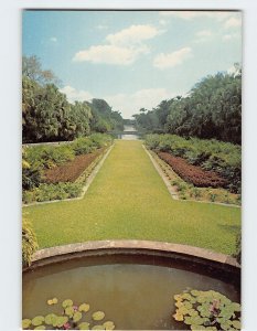 Postcard Bailey Palm Glade, Fairchild Tropical Garden, Miami, Florida
