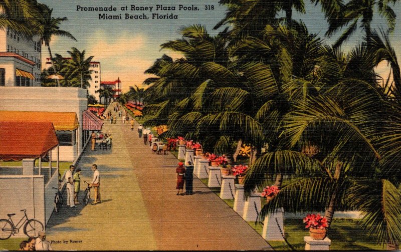 Florida Miami Beach Promenade At Roney Plaza Pools