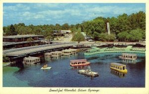 Silver River - Silver Springs, Florida FL