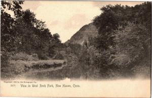 View in West Rock Park, New Haven CT Undivided Back Vintage Postcard N20