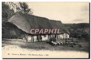 Postcard Old Farm Folklore Morvan Sheep