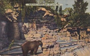 Bear Pits Forest Park Saint Louis Missouri 1941
