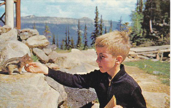 Canada Boy Feeding Chipmunk Banff National Park