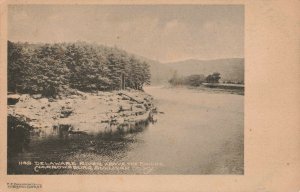 Delaware River Above The Bridge, Narrowsburgh, Sullivan County, N.Y. Postcard