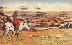 Hopi Indian and Burro at Painted Desert Indian 1938 postal marking on front