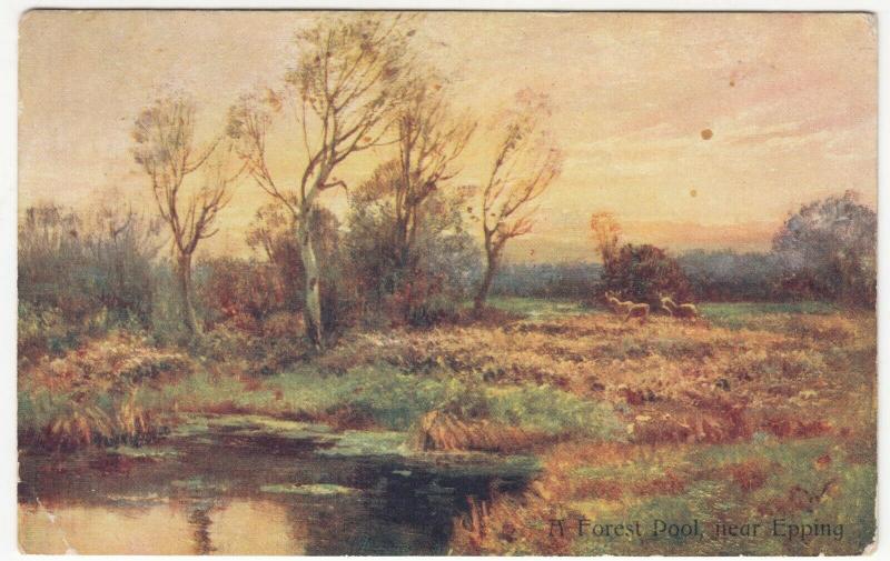 Essex; A Forest Pool Nr Epping PPC, 1905 PMK, To Miss Reeve, Leytonstone 