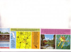 Souvenir Folder, 13 Views and Map to Cypress Gardens, Florida