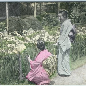 c1910 Tokyo, Japan Horikiri Iris Garden Litho Photo Postcard Hand Colored A21