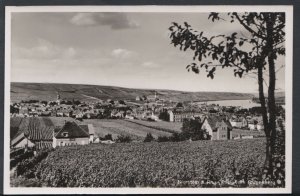 Germany Postcard - Nierstein a Rh. Blick Vom Galgenberg   T432