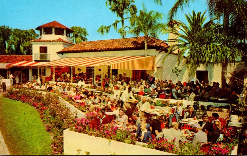 Florida Cypress Gardens Colorful Palm Dining Terrace Overlooking Lake Eloise