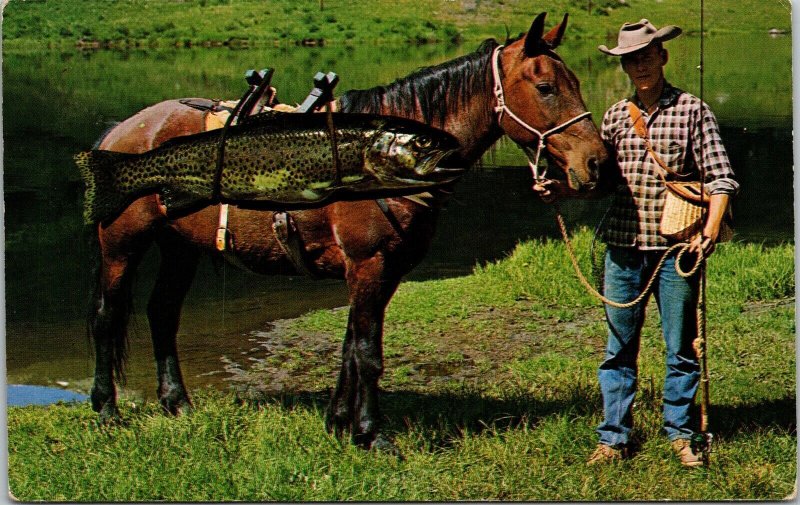 Large Rainbow Trout Strapped Horse Fisherman Pole Creek Bed Postcard Unused UNP 