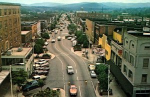 USA Downtown Shopping Park Hendersonville North Carolina Chrome Postcard 09.82