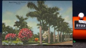 STD Vintage Royal Palms and Flowers Florida Unposted