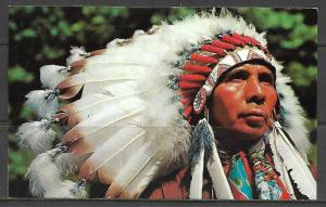 Native American Indian Chief - [MX-100]