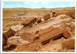 Postcard - Petrified Forest National Monument - Arizona