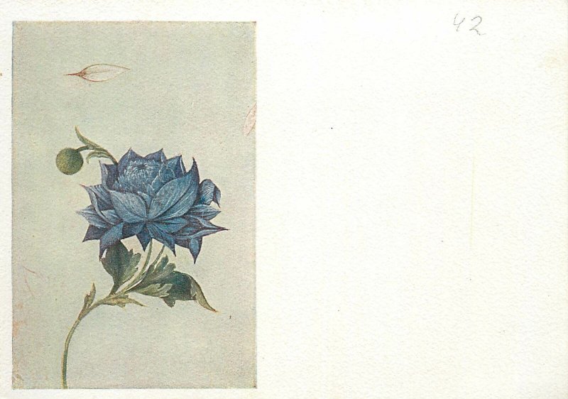 Iran miniature a blue flower  Postcard