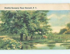 Divided-Back WATER SCENE Hornell New York NY hp8804