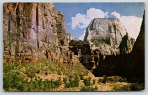 Zion National Park Utah~Great White Throne Rock Formation~Vintage Postcard
