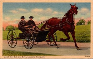 Pennsylvania Lancaster County Amish Boys Out For A Drive Curteich